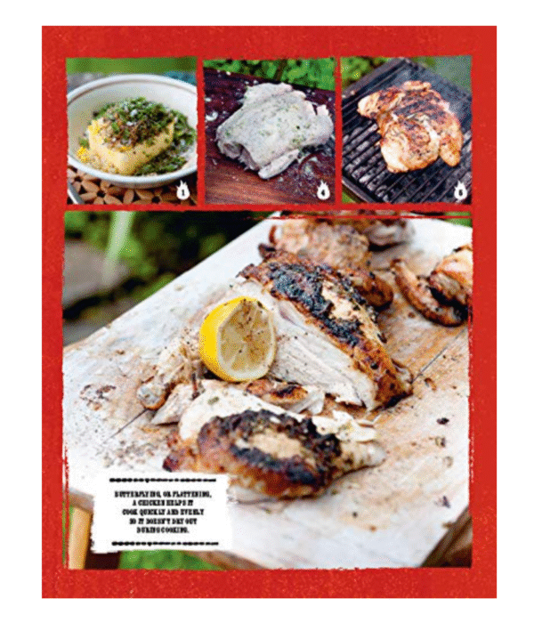 The Ultimate Book of Grilling - Image 6