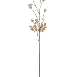 Thistle Stem