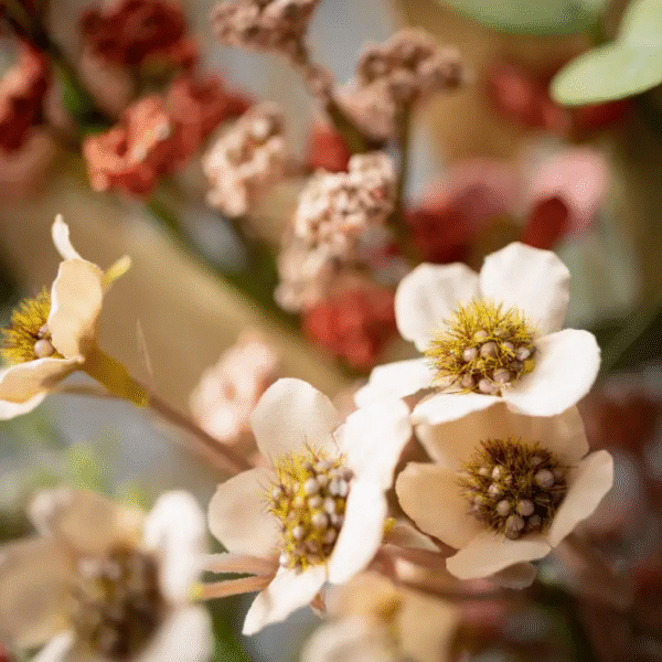 Floral + Eucalyptus - Image 2